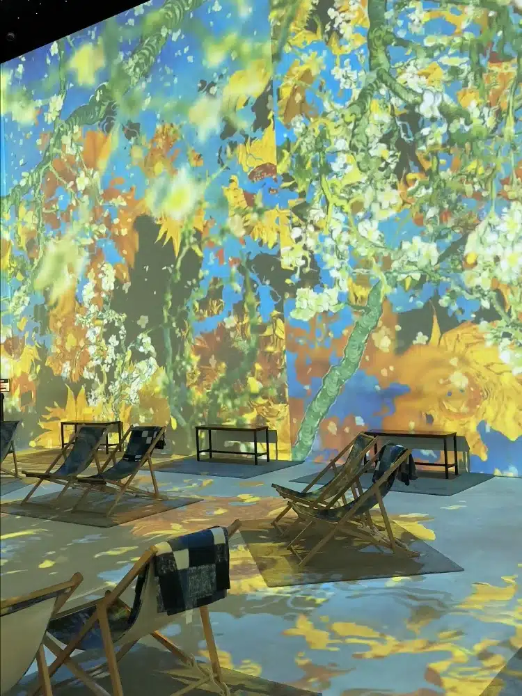 Van Gogh The Immersive Experience בבודפשט